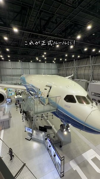 【知らないと追加料金取られます】4月から飛行機の手荷物ルール変更！