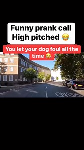 25K views · 173 reactions | You let your dog foul all the time  #dog #prankcall #fyp Prank Calls | Prank Calls | Facebook