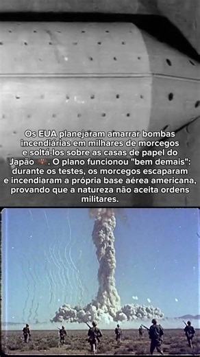 O dia em que os EUA incendiaram a própria base com MORCEGOS! 🦇🔥 #shorts #militar #feb