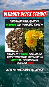 2K views · 20 reactions | Burdock root supports liver detox by boostingON antioxidant activity and purifying the blood, while dandelion stimulates bile production, aiding in toxin removal through the liver and kidneys. Together, they enhance the body's natural detox pathways!❤ #detox #reels #drsebi #health | Dr OFURE herbal cure | Facebook