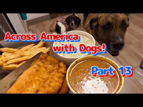 🐶Across America with Dogs🐶🇺🇸Part 13| Seattle,Washington | Cooking for Dogs | Vlog