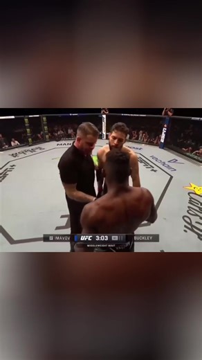 Referee Temper #ufc #usa #boxing #funny #funnyvideo