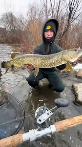 🌊🎣 Discover the thrill of Musky fishing in Minnesota City! Join us for an unforgettable adventure. #MuskyFishing #FishingLife #Pike #Fishtok 🐟 | TideFishing