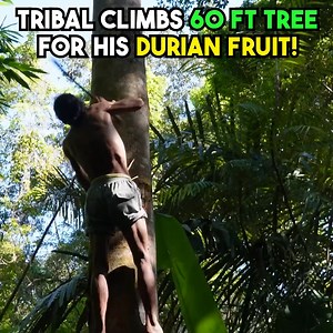 249K views · 4.1K reactions | I Can't Believe They Live Like This! 勞 | Back 2 Basics Adventures | Facebook