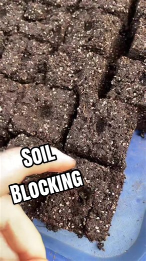 Easy Soil Blocking for Starting Seeds