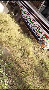 5.3K views · 80 reactions | میاں چنوں ڈرائیور کی لاپرواہی اور تیز رفتاری کی وجہ سے بس روڈ سے اتر گی، *الله* کے کرم سے کوئی جانی نقصان نہیں ہوا۔ #khanewal #خانیوال #KhanewalCity | Khanewal | Facebook