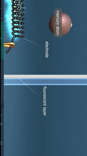 How does fluorescent bulb works| #technologia #facts