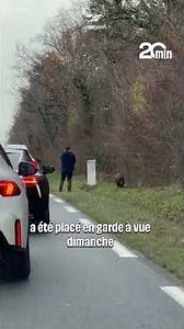 À Châteauroux, un chasseur tire à bout portant sur un sanglier au bord d’une voie fréquentée