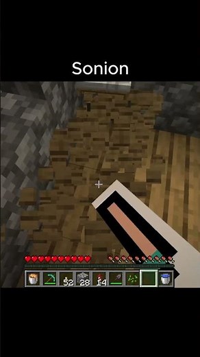 Sonion just let me sleep bro #minecraft
