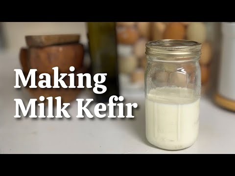 How to Make Milk Kefir from Store Milk (No Fresh Dairy Needed)