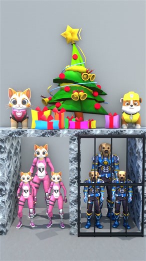 🎅🏻Christmas Night .Let's dance! Boss, let's feel the beat together #dog #cat #cute