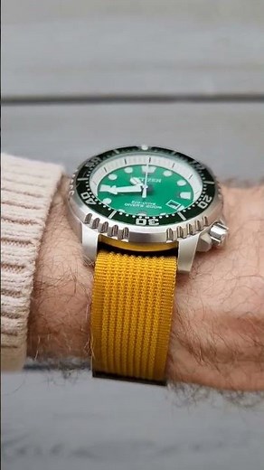 Citizen Promaster Diver BN0158-18X on @ZULUDIVER Octopod Watch Strap System