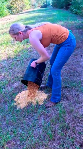 My Secret Hog Bait? You Won't Believe It! 🤫🐗 #Shorts