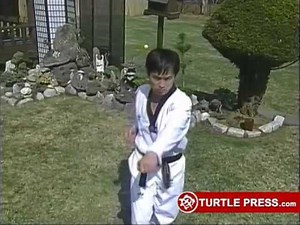 Taekwondo Black Belt Form 1 - Taekwondo Animals.com