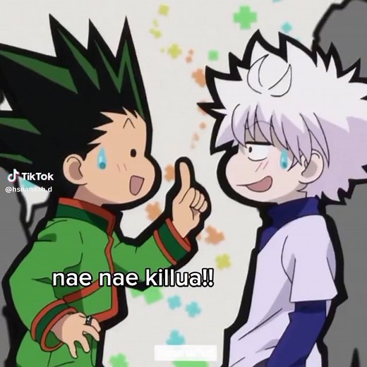 — 𝗦hōakuma (@.shoakuma) - Hunter x Hunter Gon and Killua Funny Moments Compilation