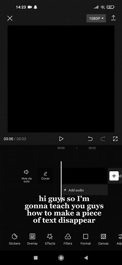 How to Make Text Disappear in CapCut - Step-by-Step Tutorial