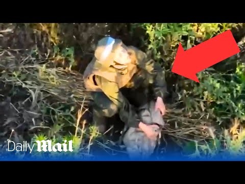 Look up: Russian soldier surrenders to Ukrainian drone