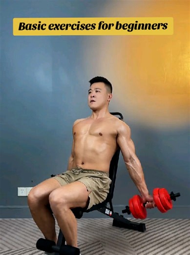 Essential Basic Exercises for Beginners