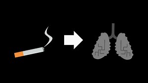 Download animated of effects of smoking on lung health, good to use for content about health. for free