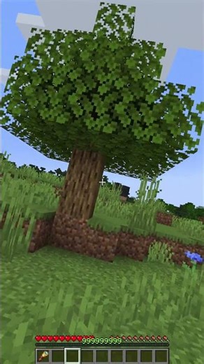 Minecraft Rotating #minecraftmemes