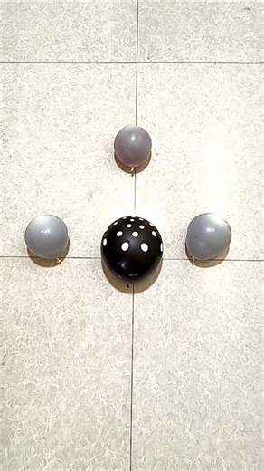 Enjoy relaxing ASMR balloon popping sounds#asmrballoon #asmr