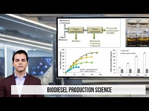 Transesterification process for biodiesel