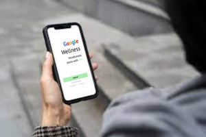 Google Wellness
