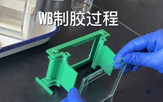 新手western blot（WB）制胶过程