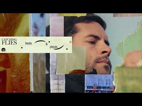 Catching Flies - Diving [Official Audio]