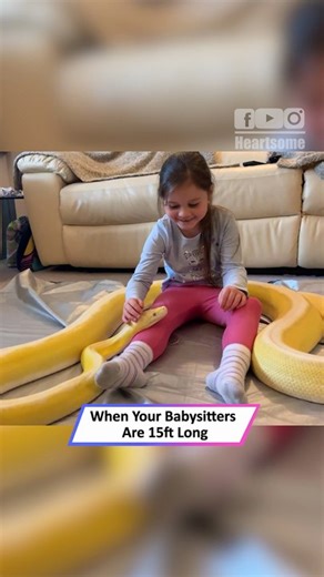 Little Girl Bonds With Giant Pet Pythons Sonny & Cher
