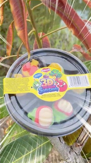 Fruit Gummy Candies