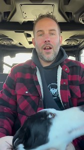 Blaze Is In Charge of the Canadian Geese 🪿 #farmlife #fluffyfeatherfarm #adorable #farminglife #geese #farmdog | Fluffy Feather Farm