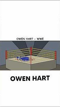 Owen Hart's Death Explained. #wwe #owenhart