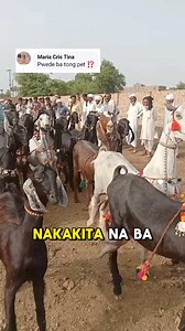 48K views · 584 reactions | #dancing #GOAT | Vin Extreme Videos | Facebook