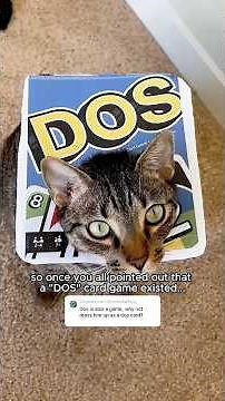 I made “UNO” and “DOS” costumes for my one- and two-eared cats 😹 ‪@thekatcurtis‬ #halloween #cats