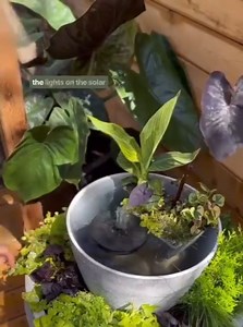 DIY Waterfountain Idea😍 #gardeningtips #gardenlove #Diygardenideas #GardeningGoals | DIY Gardener