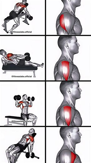 Exercice pour les épaules à l'aide d'haltères ✅️