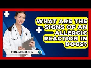 What Are The Signs Of An Allergic Reaction In Dogs? - PetGuide360.com