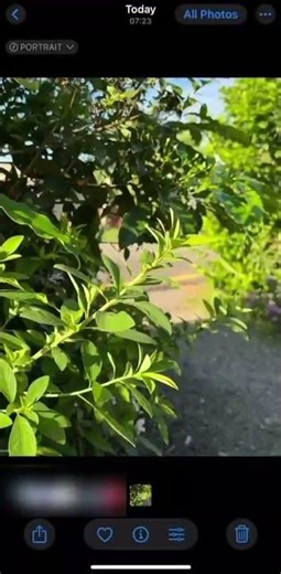 iPhone 15 Hidden Depth Data Trick – Take 3D Photos Like a Pro! | Digital Shortcut #iphonetips