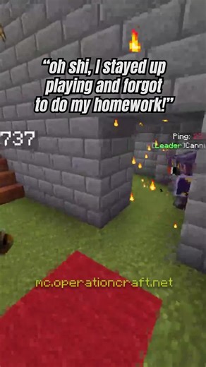 Overnight PvP Sessions and Homework Dilemmas