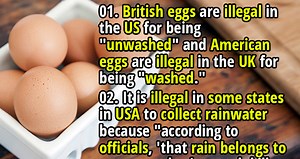 50 Weird and Ridiculous Laws Around The World - Fact Republic