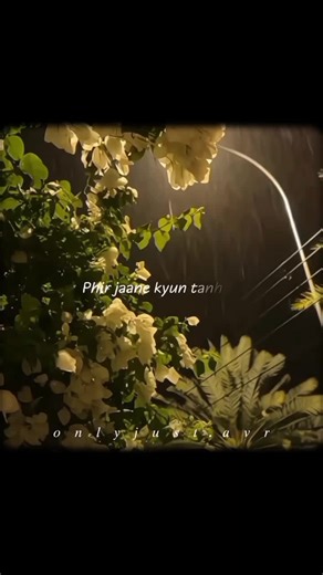 Milne hai mujhe se ayi .. kabi hoi hai aashiqui #viral #song #fyp #songlyrics #onlyjust.avr