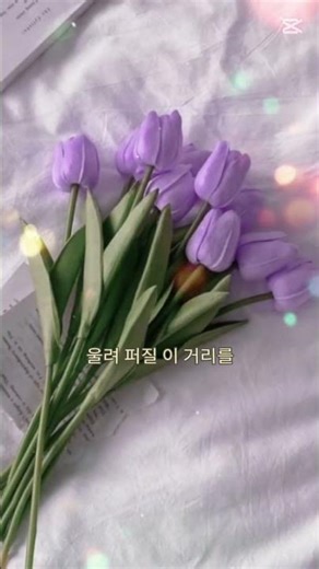 봄의 감성🌸 봄바람 휘날리며~~# 버스커 버스커 벛꽃엔딩