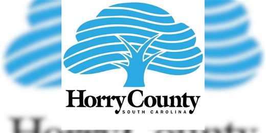 Horry County Council declares local state of emergency ahead of winter storm