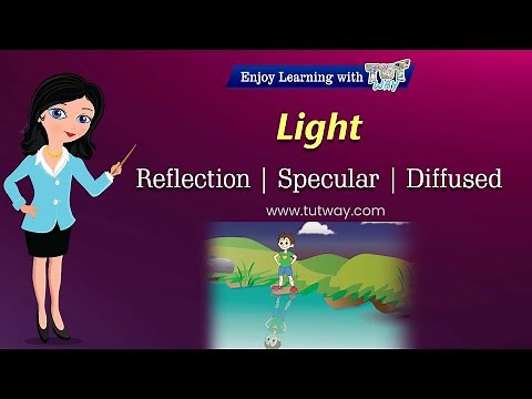 Reflection of Light | Diffused Reflection of Light | Light Properties | Reflection for Kids Science