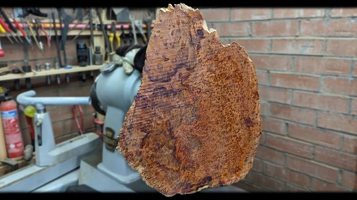 What makes thuya burl so rare and extraordinary