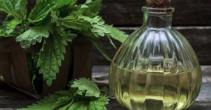 Sirup od mladih kopriva: Sok koji su rado pravile i naše bake