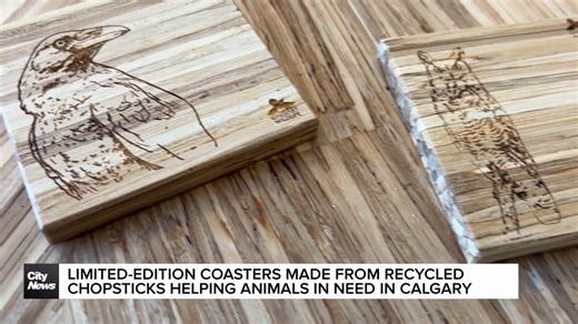 Limited-edition coasters made from recycled chopsticks helping animals in need in Calgary