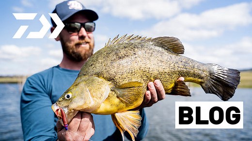How to Catch Yellowbelly on Soft Plastics