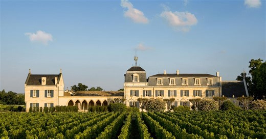 Millésime 2024 à Bordeaux : ces 15 vins blancs secs qui valent vraiment le détour, disponibles en primeur